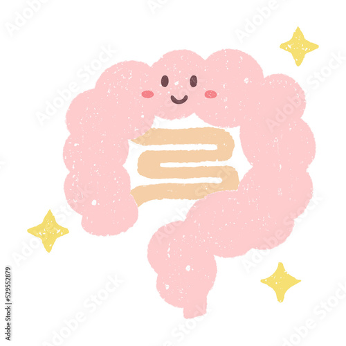 手描きのかわいい健康な腸のキャラクター photo