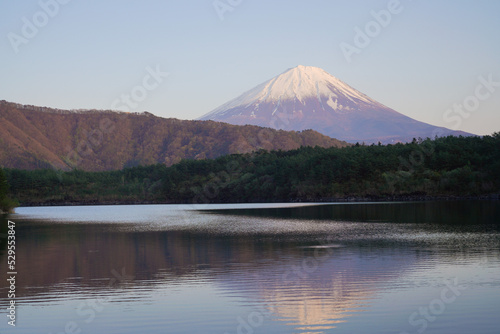 富士山 西湖 夕焼け