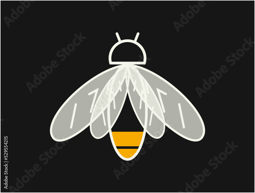 Firefly illustration