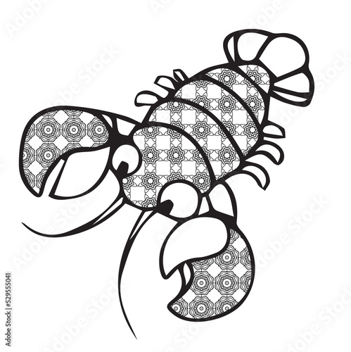 illusstration of lobster photo