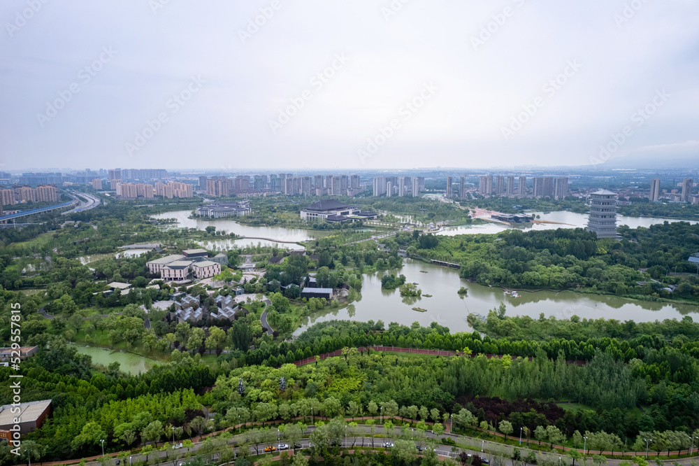 aerial view of the city