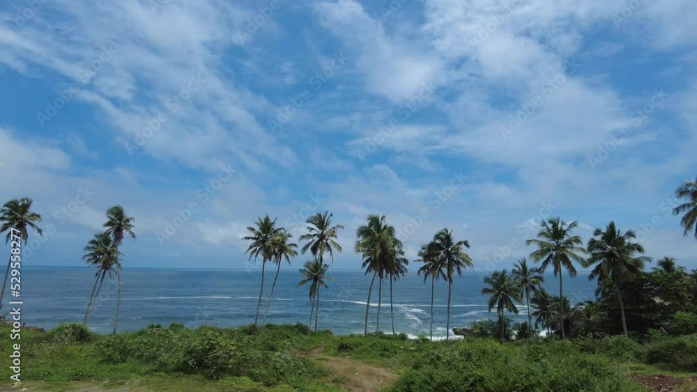Coconut palm trees, Kerala coastline, bright blue sky, seascape view Coconut palm trees, Kerala coastline, bright blue sky, seascape view