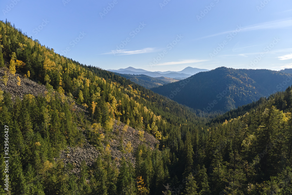 High hills with dark pine woods on autumn bright day. Amazing scenery of wild mountain woodland