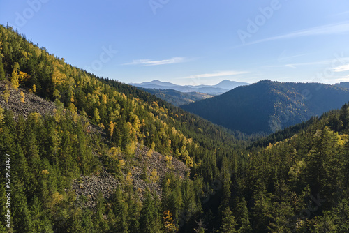 High hills with dark pine woods on autumn bright day. Amazing scenery of wild mountain woodland