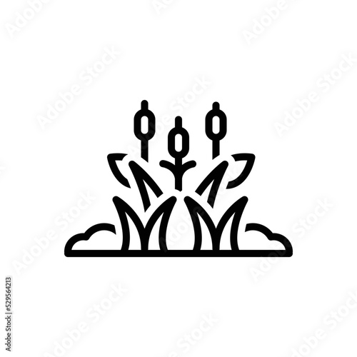Black line icon for marsh