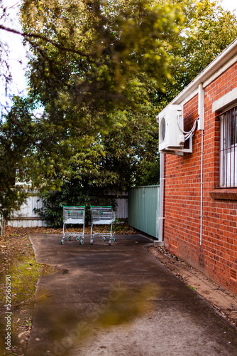 Two lost shopping trollies in alley - pair of shopping carts photo