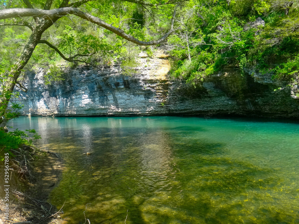 Obraz premium river in the forest