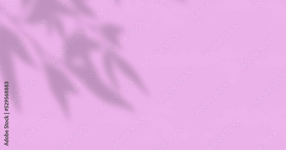 Image of window shadow of leaves with copy space over pink background Image of window shadow of leaves with copy space over pink background