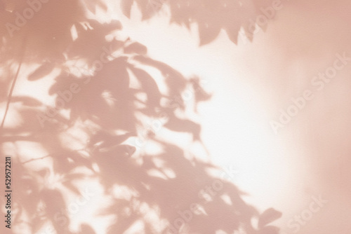 Leaf shadow and light on wall pink background. Nature tropical leaves tree branch and plant shade with sunlight from sunshine on white wall texture for background wallpaper, shadow overlay effect