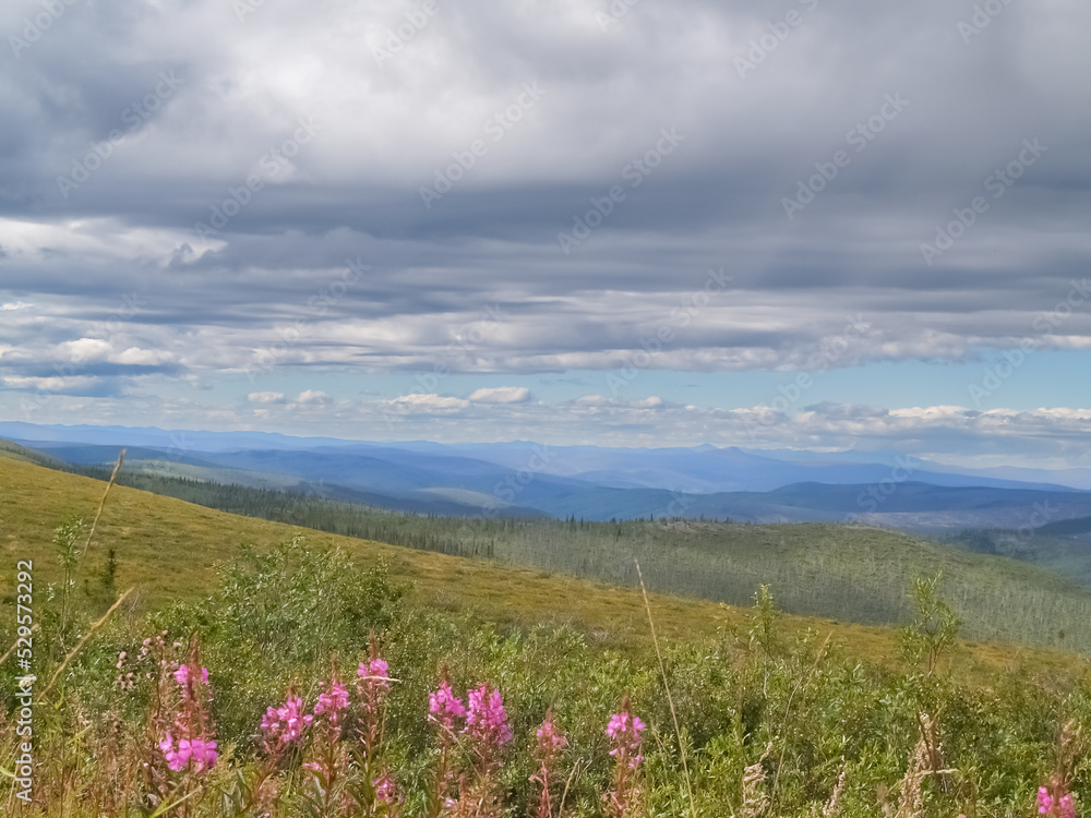 Wide and expansive Yukon landscape with moody overcast sky Wide and expansive Yukon landscape with moody overcast sky