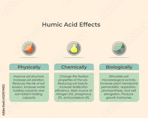 Humid acid effect for soil and plant. Humic acid function in physics, chemistry and biology