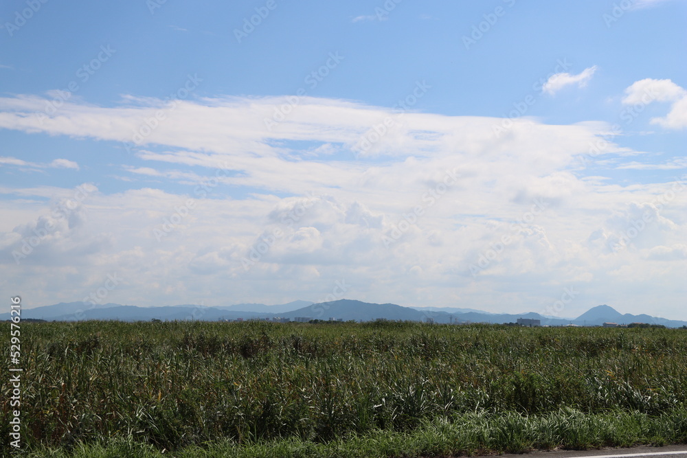 Fototapeta premium 湖畔の風景