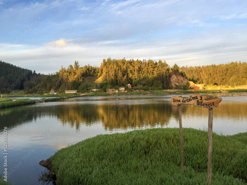 autumn landscape with lake