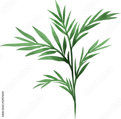 Set of tropical leaf monstera  forest leaves isolated
