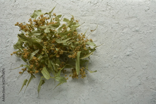 Lime tree flowers dried for herbal linden tea