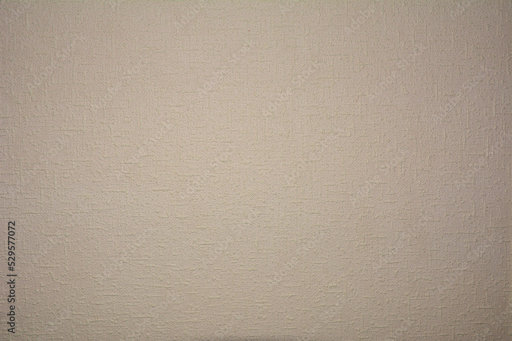 Fototapeta premium close-up of a monochromatic plaster background texture