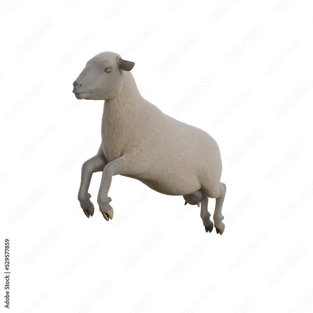 Sheep photorealistic in different poses on transparent background. 3D rendering illustration.