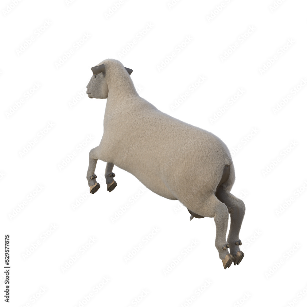 Sheep photorealistic in different poses on transparent background. 3D rendering illustration. Sheep photorealistic in different poses on transparent background. 3D rendering illustration.