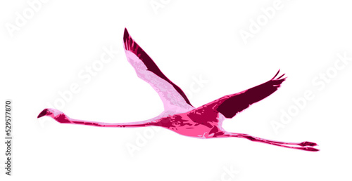 Simple illustration art of flamingo bird in pink and maroon colour - vector