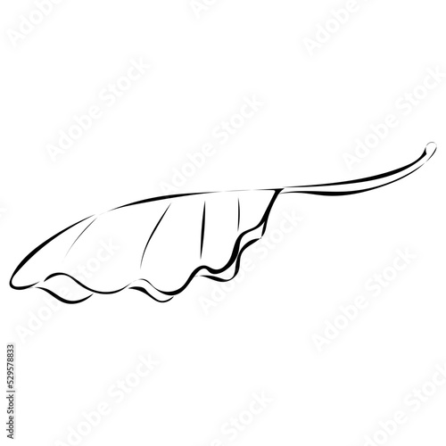 Blatt