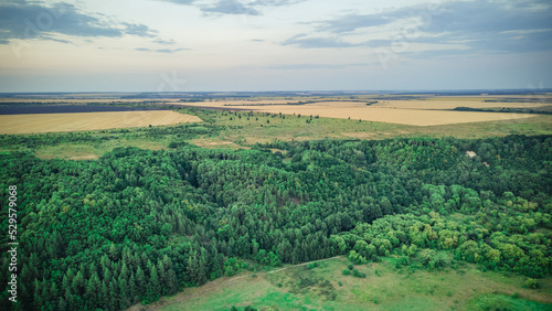 Wallpaper Mural aerial photography of rural nature Torontodigital.ca