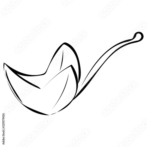 Blatt