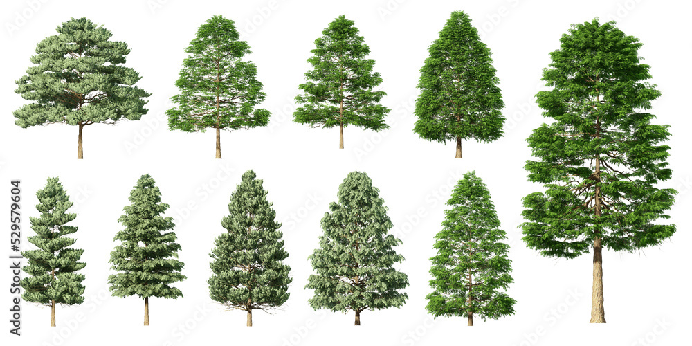 Collection 3D Christmas Trees Isolated on PNGs transparent background , Use for visualization in architectural design or garden decorate	