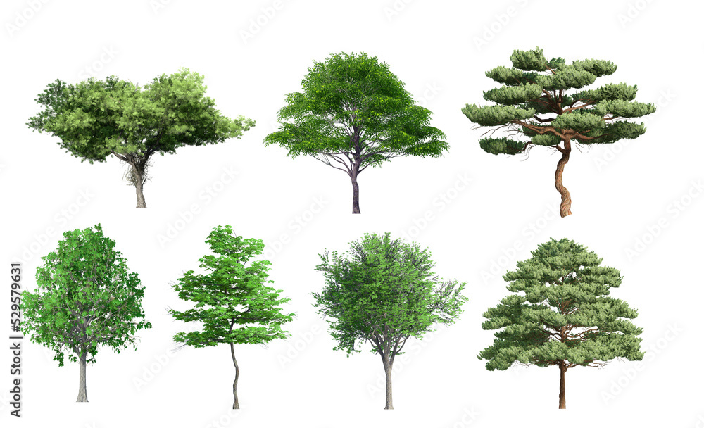 Collection 3D Trees Isolated on PNGs transparent background , Use for visualization in architectural design or garden decorate Collection 3D Trees Isolated on PNGs transparent background , Use for visualization in architectural design or garden decorate
