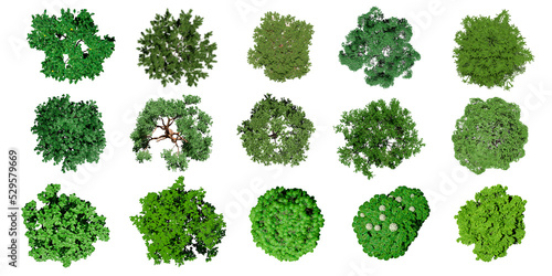 Collection of 3D Top view Green Trees Isolated on PNGs transparent  background   Use for visualization in architectural design or garden decorate 