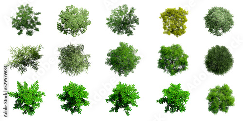 Collection of 3D Top view Green Trees Isolated on PNGs transparent background , Use for visualization in architectural design or garden decorate 