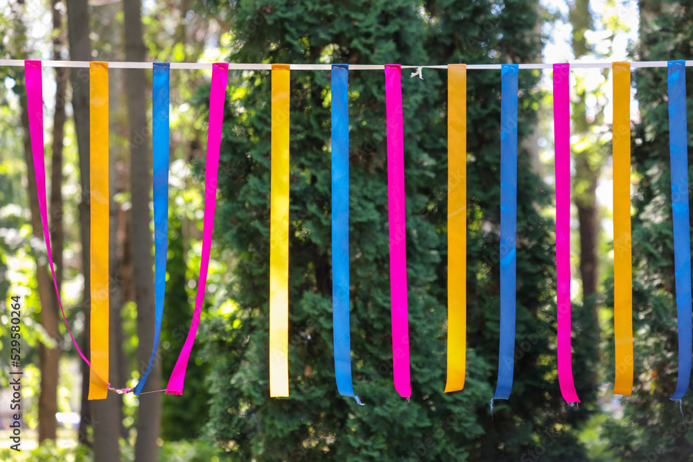 Multi-colored ribbons hang in the park