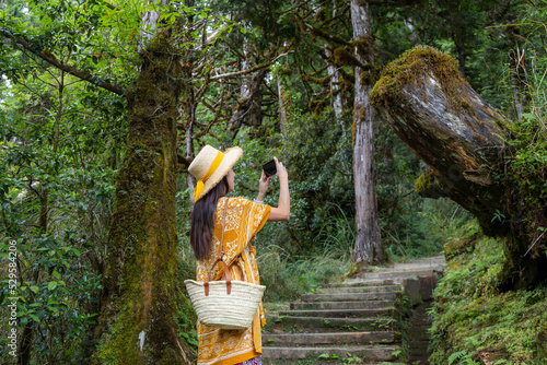 Travel woman use cellphone to take photo on in forest photo