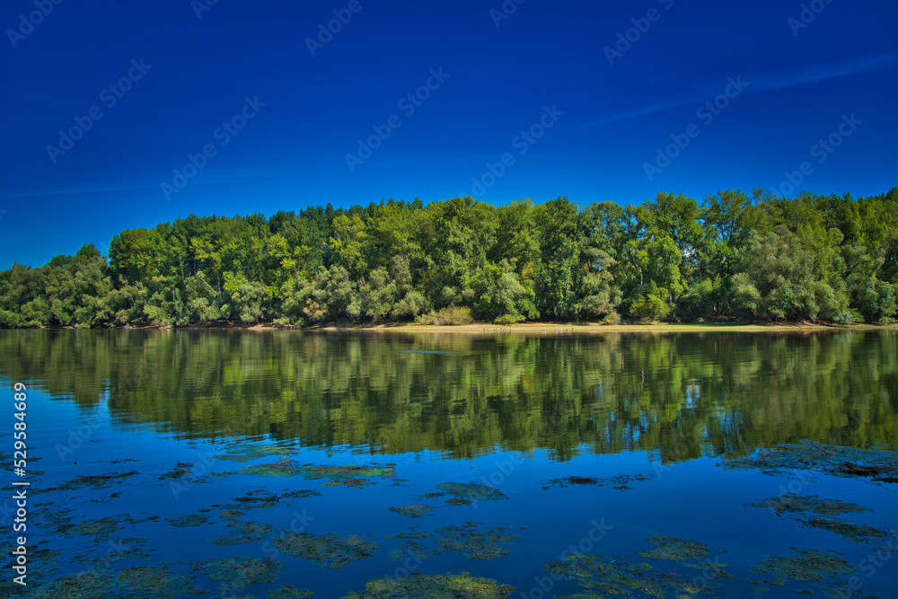 Fototapeta premium Altrhein near Bruehl, Germany, on a sunny day and blue sky