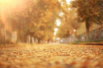 abstract blurred autumn background park, city fall nature october