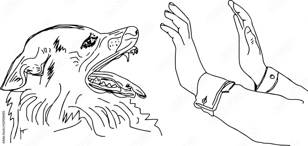 Fighter dog training vector, Bull dog biting hand of man sketch drawing, Dangerous dog barking on man line art vector silhouette, cartoon doodle of bull dog face Fighter dog training vector, Bull dog biting hand of man sketch drawing, Dangerous dog barking on man line art vector silhouette, cartoon doodle of bull dog face