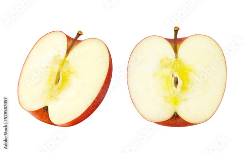 りんご 林檎 リンゴ イラスト リアル