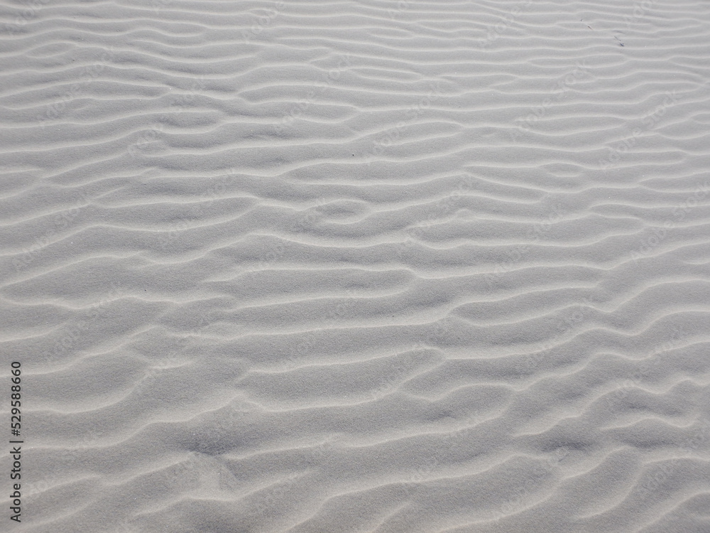 sand ripples on the beach sand ripples on the beach