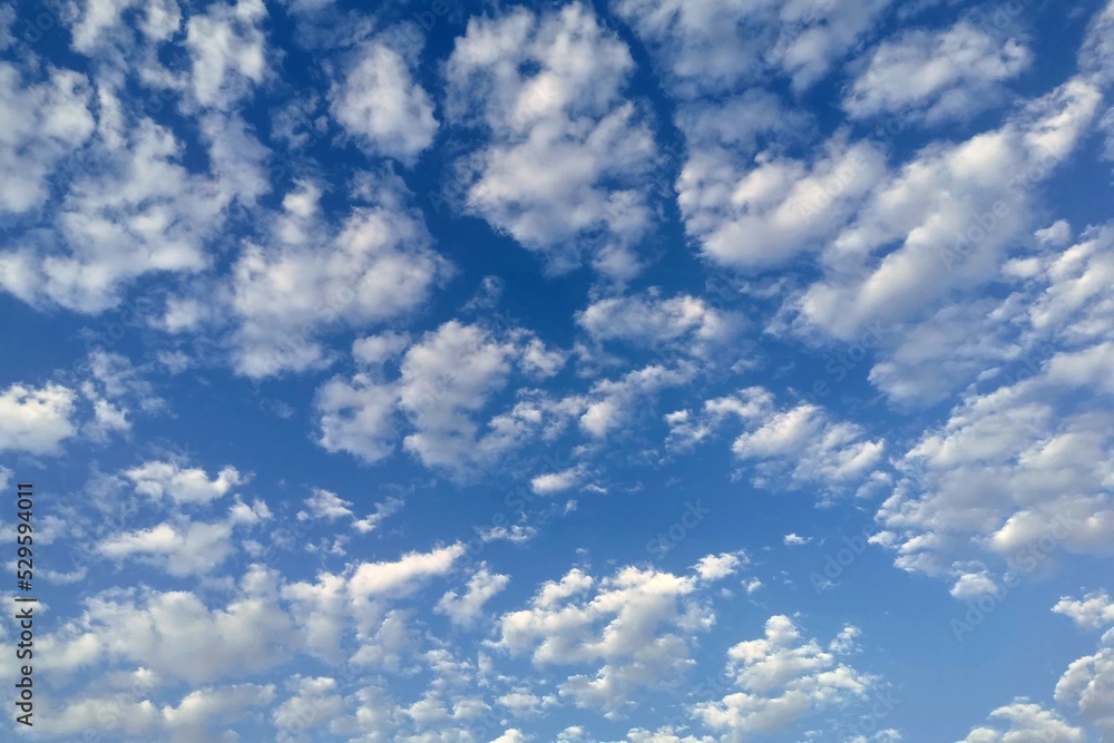 Blue sky with white clouds. Cloudscape background. Beautiful morning sky with fluffy clouds. Concept of new life beginning, freedom of life and peaceful. Blue sky with white clouds. Cloudscape background. Beautiful morning sky with fluffy clouds. Concept of new life beginning, freedom of life and peaceful.