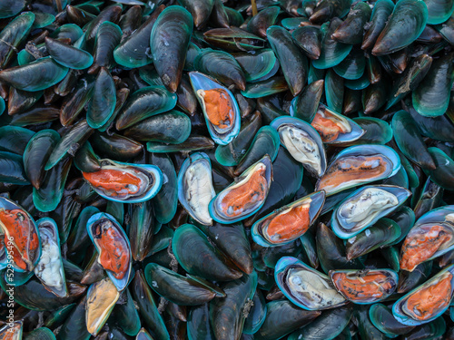 Mussels Background as a raw mussel seafood symbol as a fresh shellfish cuisine ingredient.