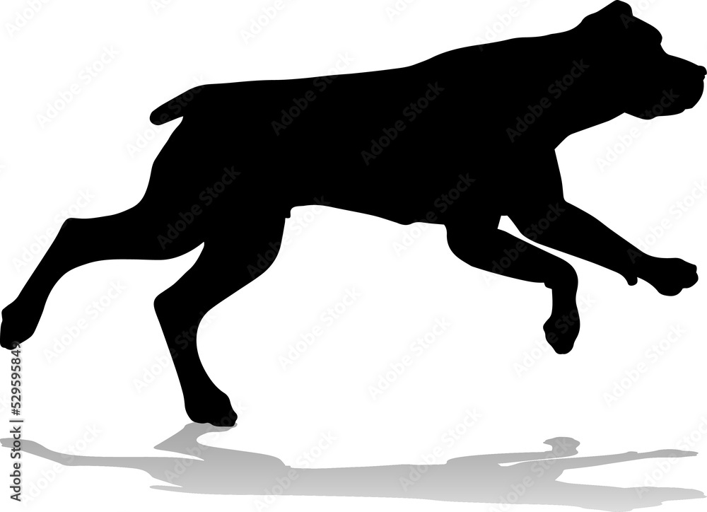 Dog Silhouette Pet Animal