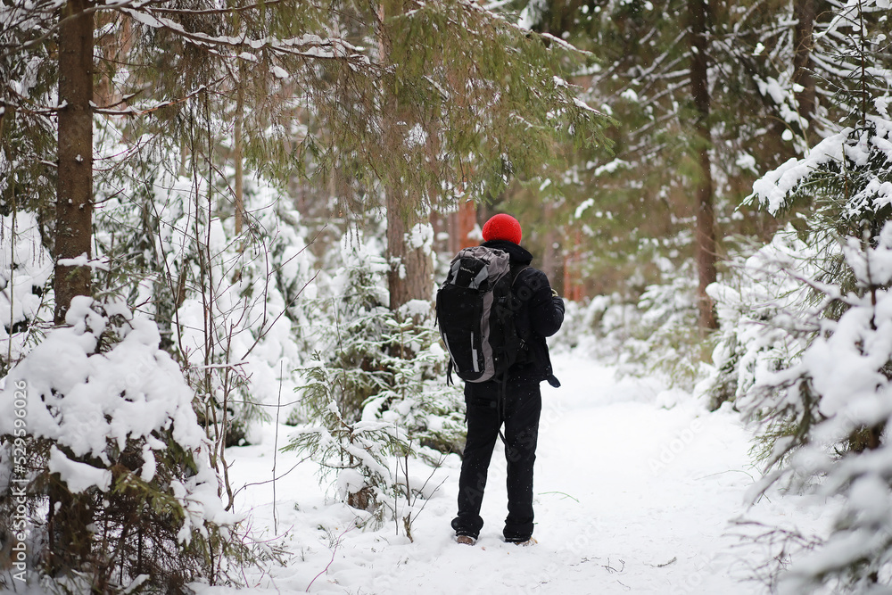 A man travels with a backpack. Winter hike in the forest. Tourist on a walk in the winter in the park.