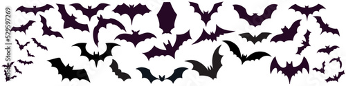 Bat icon vector set. Halloween illustration sign collection. vampire symbol or logo.