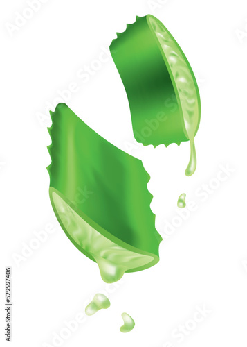 Aloe vera, realistic green plant, leaves and cut pieces with fresh juice drops, isolated on white background. Icon use for cosmetic products advertesment or for banner, poster design