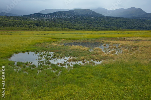 Landscape in Potter Marsh Bird Sanctuary at Anchorage in Alaska  United States North America 