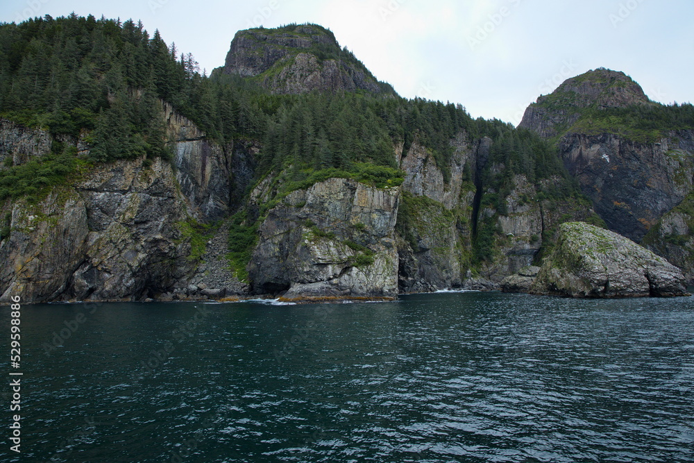 Landscape in Kenai Fjords National Park in Alaska, United States,North America
