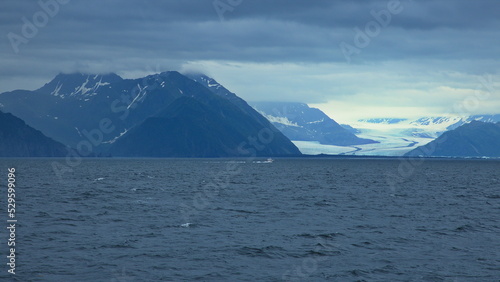 Landscape in Kenai Fjords National Park in Alaska, United States,North America 
