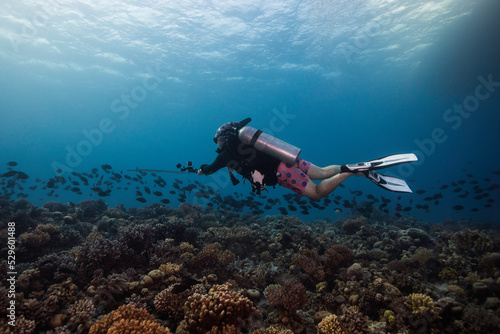 A scuba diver swimming over the reef holding an action camera taking video of a school of fish