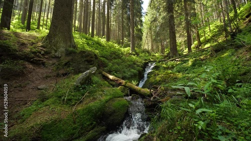 Pristine nature in a forest with water stream glide and pan shot