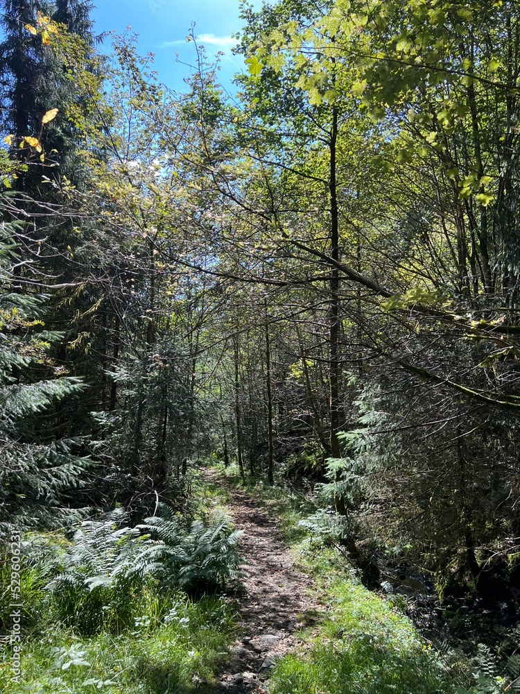 Fototapeta premium Orretua Kaland Hiking Trial Bergen Norway