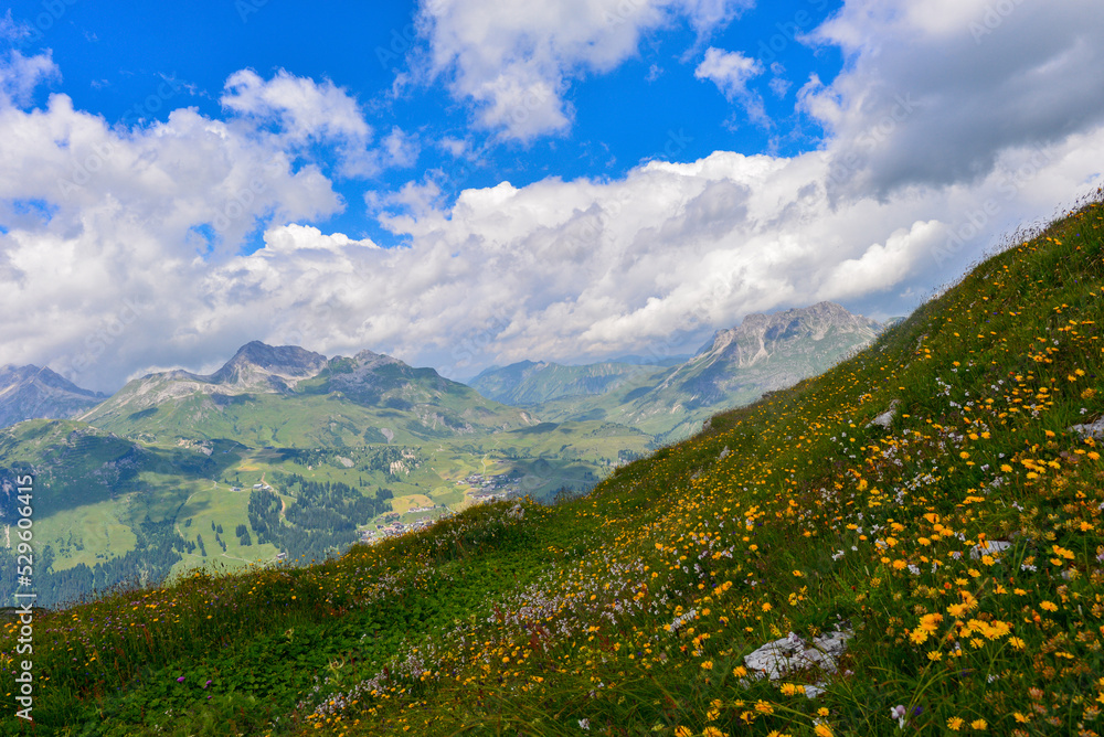 Schafalpe am  Rüfikopf in den Lechtaler Alpen, Österreich